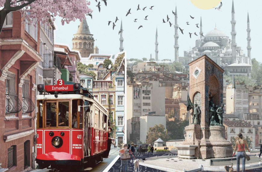 Summer School on Dynamical Systems and Reaction Kinetics Networks
