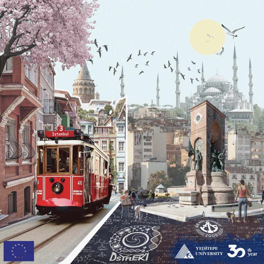 Summer School on Dynamical Systems and Reaction Kinetics Networks